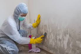 Best Residential Mold Inspection & Testing  in Lincolnwood, IL